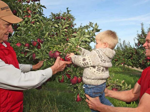 4 Fun Fall Harvest Events in Vernon