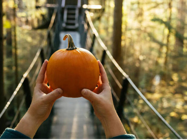 Top Halloween 2022 Events in Vancouver