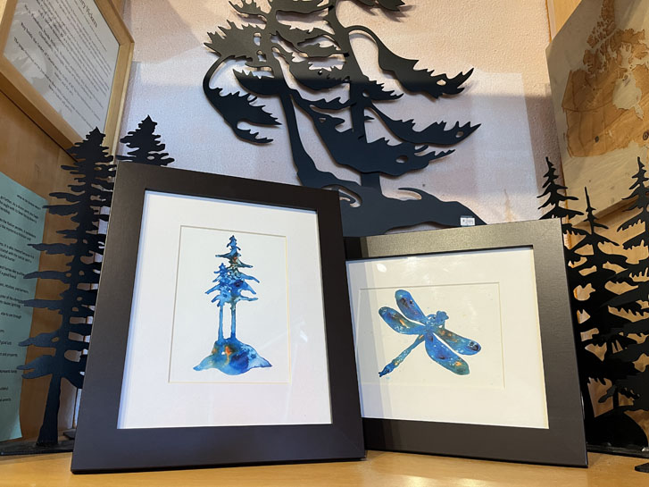 a dragonfly painting and a tree painting inside glass frames in a decor shop