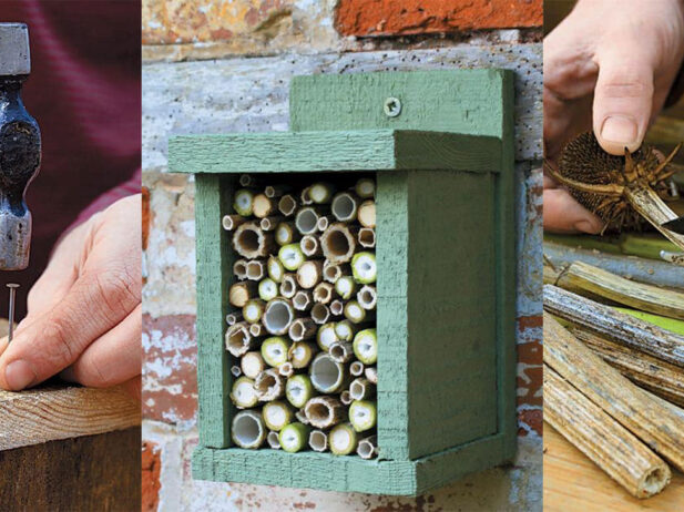 Build a Bughouse for Beneficial Insects