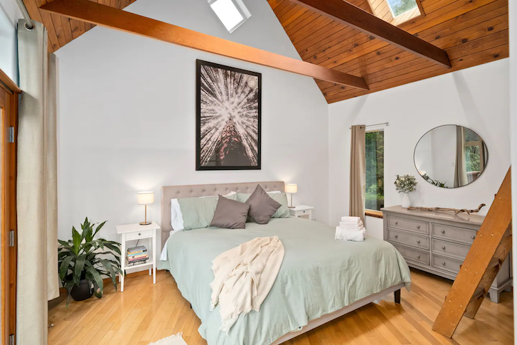 master bedroom with a king-sized bed