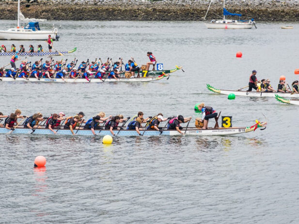Vancouver Adventures: Our Picks for June 14-20