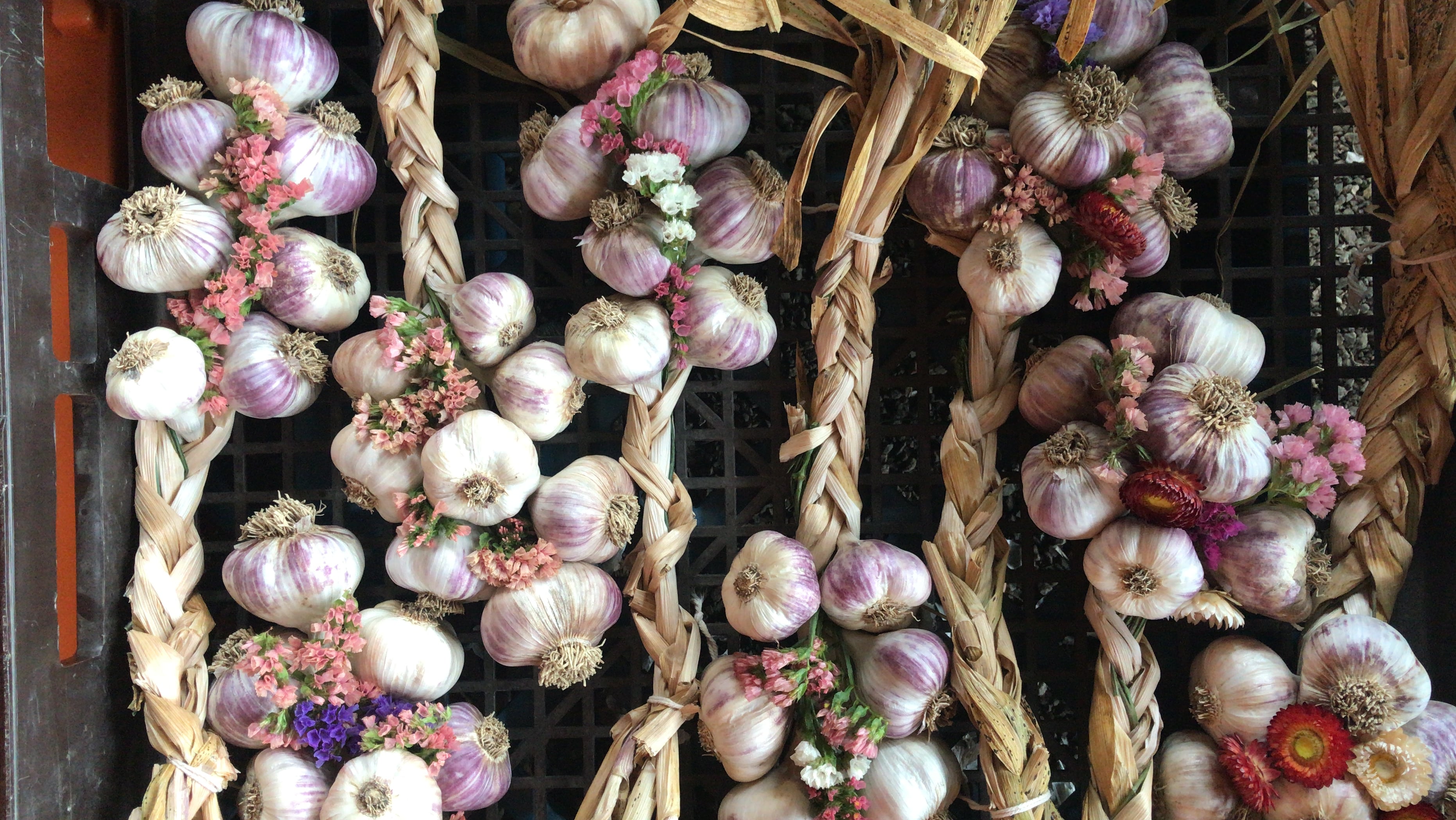 Richmond Garlic Fest