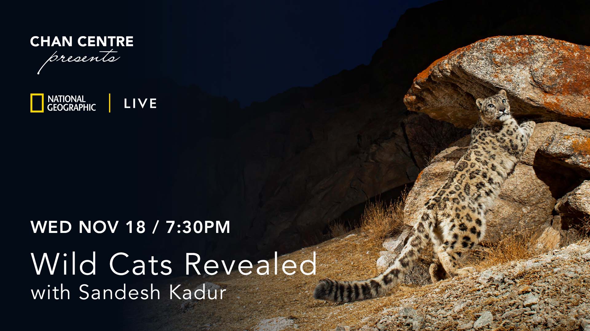 National Geographic Live: Wild Cats Revealed with Sandesh Kadur