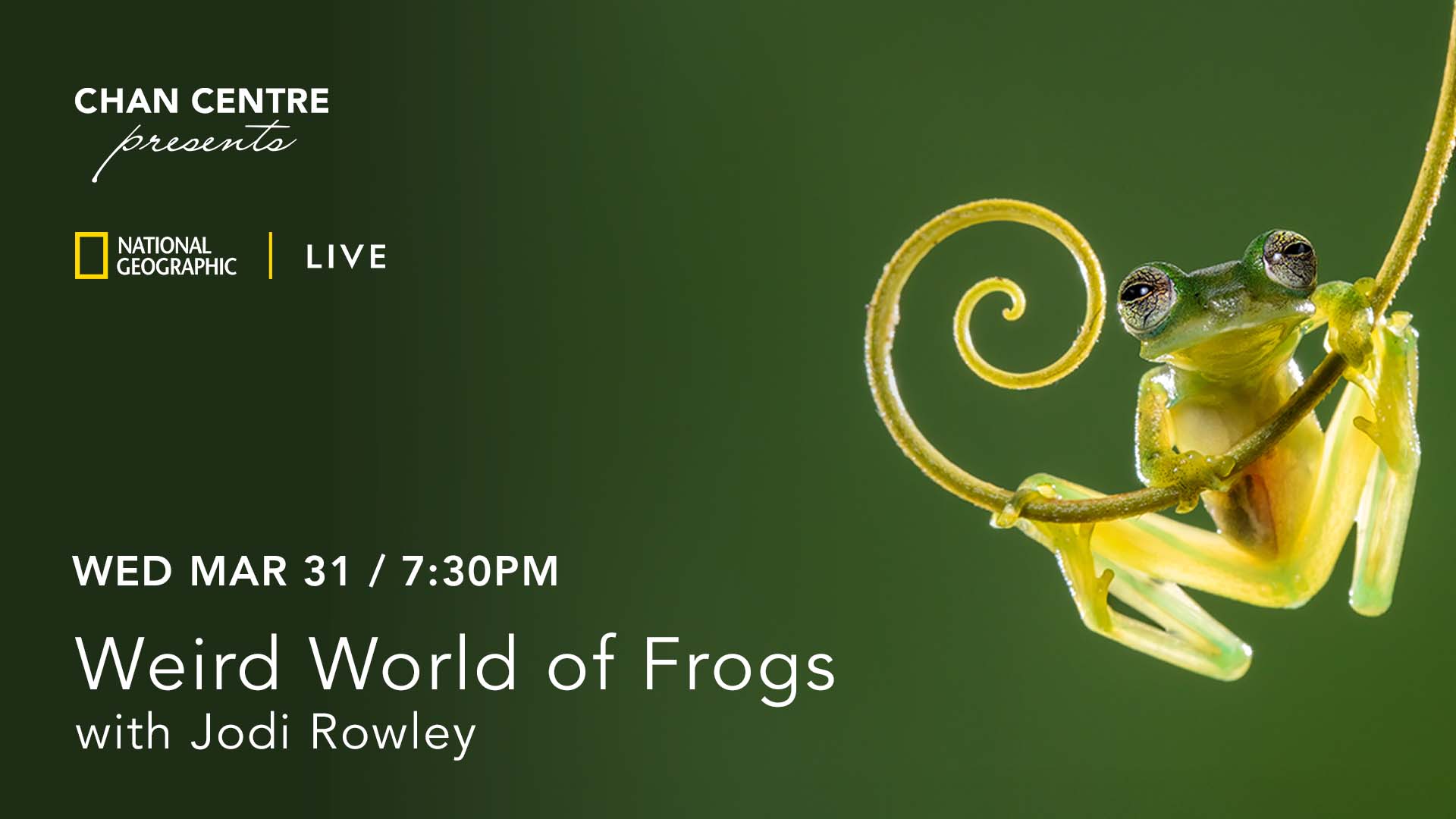 National Geographic Live: Weird World of Frogs with Dr. Jodi Rowley
