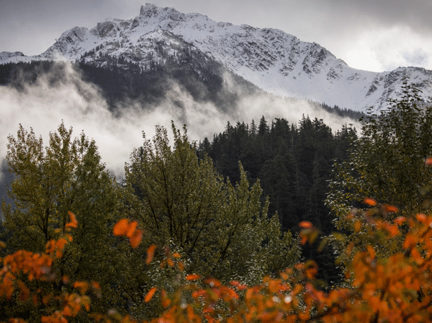 48 Hours: Wine Walks and Harvest Season on a Fall Weekend in Whistler