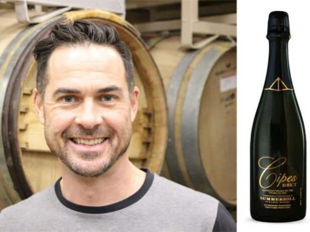 Industry Experts’ Top Wine Picks for the Holidays