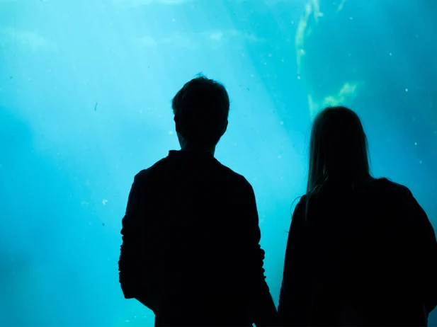 40+ Fun Date Ideas Around Vancouver