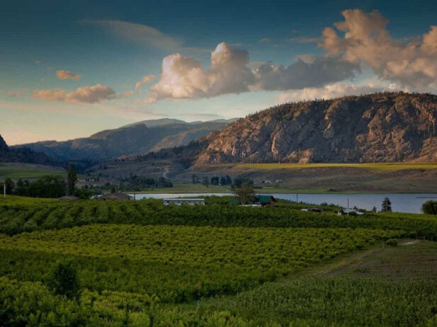 4 Festivals to Celebrate Springtime in Osoyoos