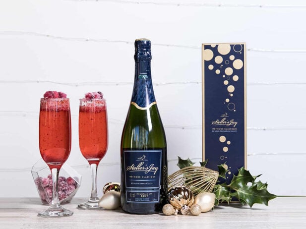 Cranberry Fizz Cocktail Recipe