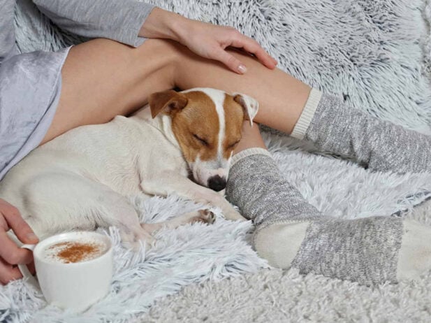 Bring Hygge Into Your Home This Winter