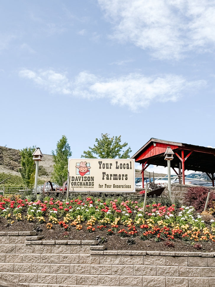 a garden with a sign in between that reads 'Davidson Orchards..Your local farmers'