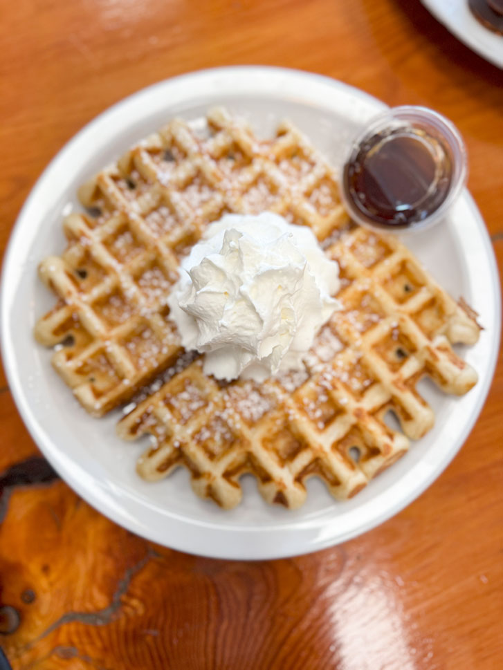 a plate of waffles with icing in the middle and a sauce plate