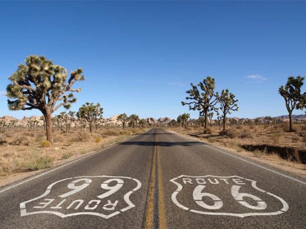 Journey to Joshua Tree: 10 Things to Do