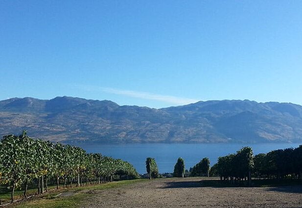 West Coast Road Trip Travel Guide