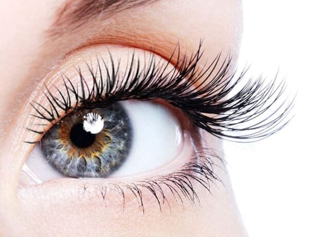 Lash Products That Really Work