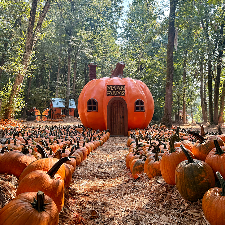 pumpkins in a forest with a path leading to a giant pumpkin house