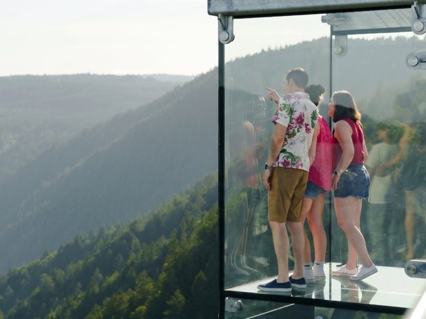 Canada’s First Sky Glass Cube Just Opened at Malahat SkyWalk on Vancouver Island