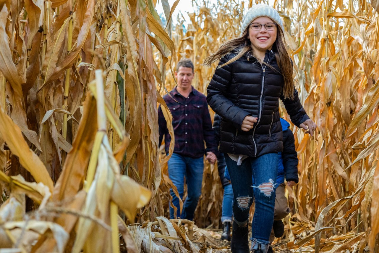 O'Keefe Ranch Corn Maze Vernon