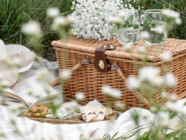 10 Pretty Picnic Spots to Enjoy in the Lower Mainland