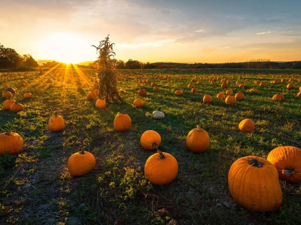 Where to Take Instagram-worthy Photos This Fall