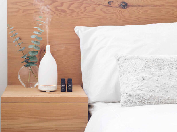 Four Ways to Purify Your Air at Home