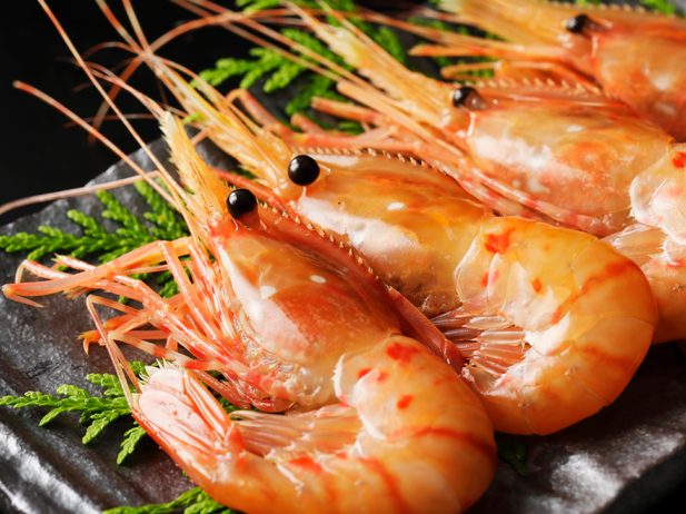 Catch These 10 Spot Prawn Dishes at Your Favourite Vancouver Restaurants in 2026