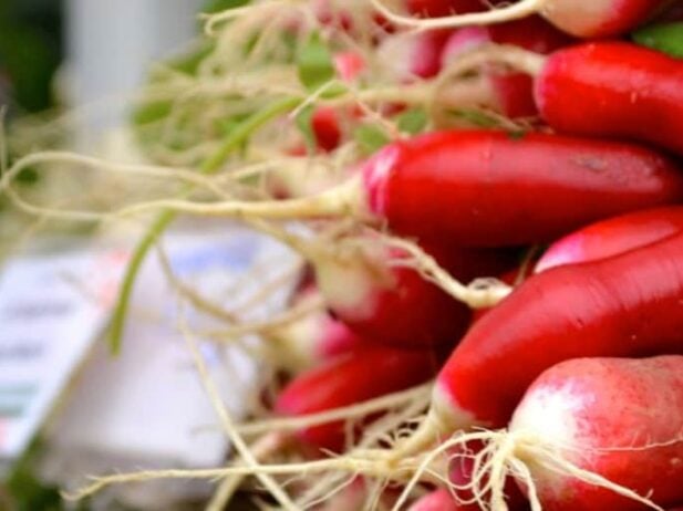 Vancouver Farmers Markets 2016
