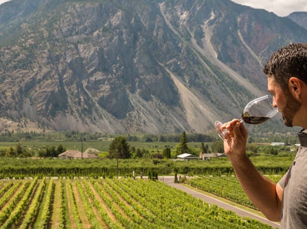 BC Wine 101: Summer 2020
